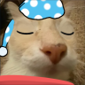 dosesleep emote
