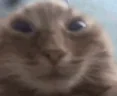 muh emote