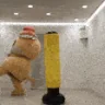 RAGEBEAR emote