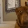 AYOO emote