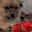 dogScared