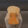 QUACK emote