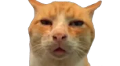 HUH emote