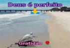 Deuseperfeito emote