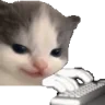 heheChatting emote