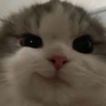 Muejeje emote