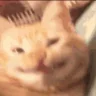 hihi emote