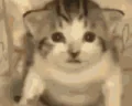 Cringe emote