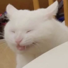 hehehe emote