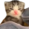 soeepy emote
