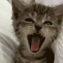 Yawners