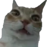 uhhh emote