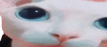 plingus emote