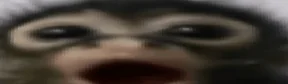 :000000000 emote