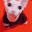 BingusPlink