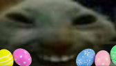 eggsdd emote