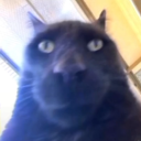 KET Twitch emote
