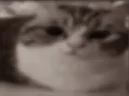 bam emote