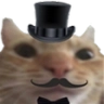 FancyCat emote