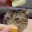 Emote