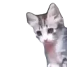 yo emote