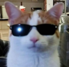 swag emote