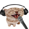 catSing emote