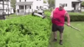LandScaping emote