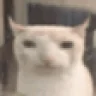 nom emote