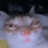 suh emote