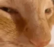 nuh emote