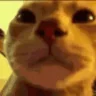 luh emote