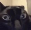 ruh emote