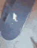 frogFlip emote