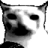 VeryDespairCat emote