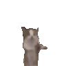 happycat emote