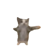 happie emote