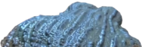 Ignoregie emote