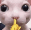 Shush emote