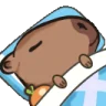capysleep emote