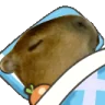 capySleep emote