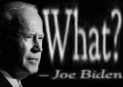 WhatBiden emote