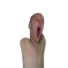 LIMBS emote