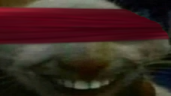 qxdd emote
