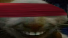 qxdd