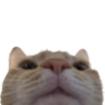 avr emote