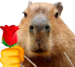 rose emote