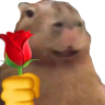 CapyRose emote