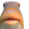 Huh emote