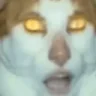 monday emote